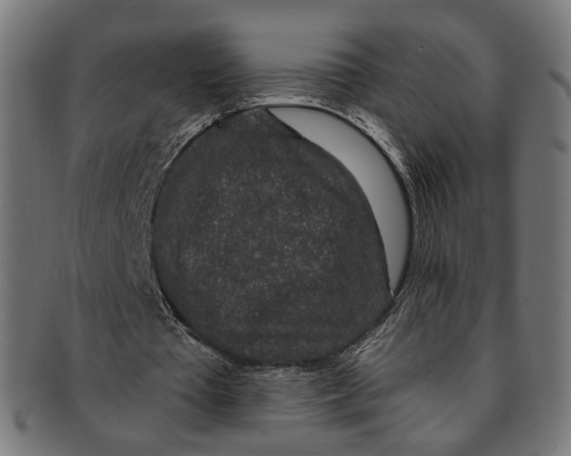 X0000091190385200709061018