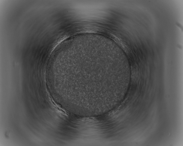 X0000091190386200709061018