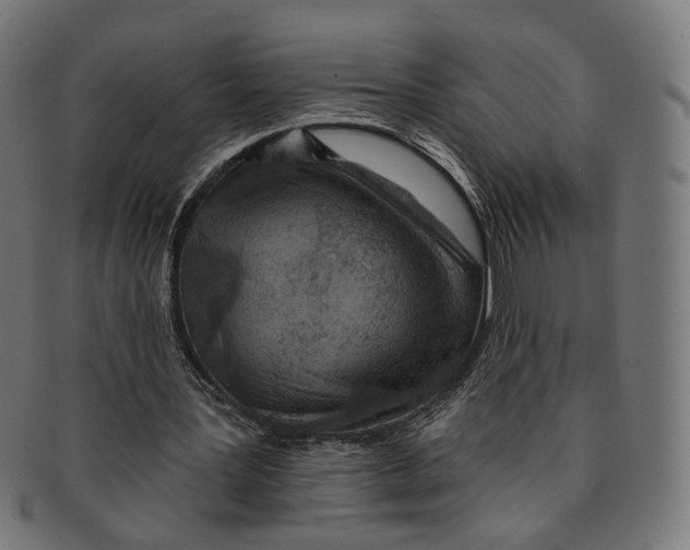 X0000091190387200709061018