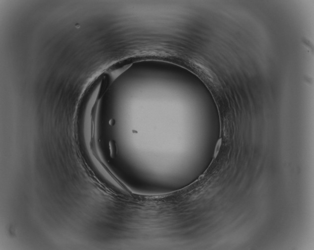 X0000091190388200709061018