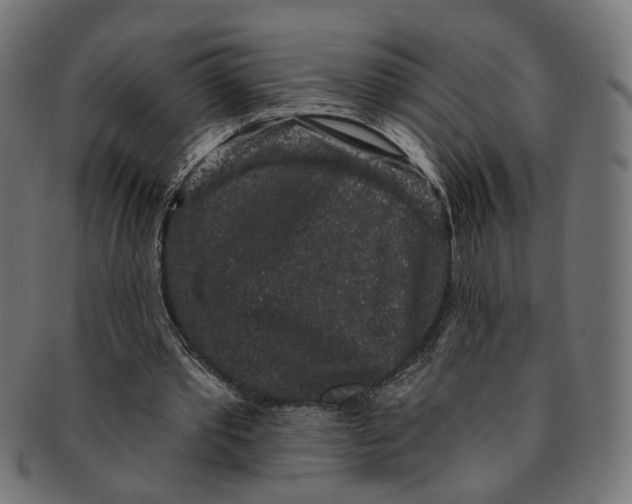 X0000091190389200709061018