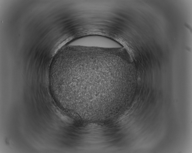 X0000091190390200709061018