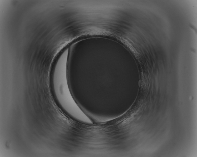 X0000091190391200709061018