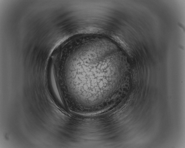 X0000091190392200709061018