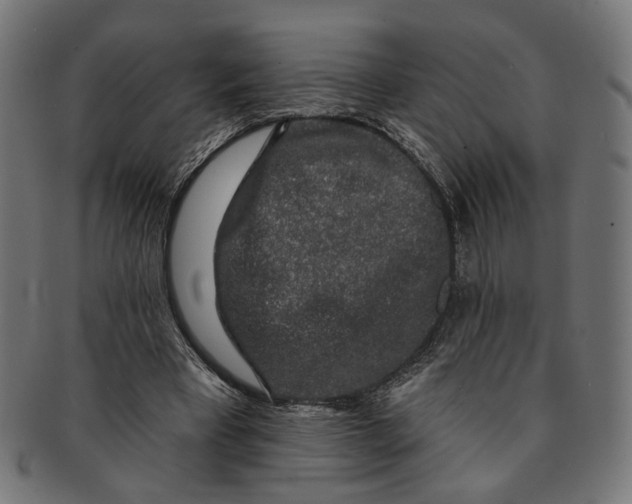 X0000091190393200709061018