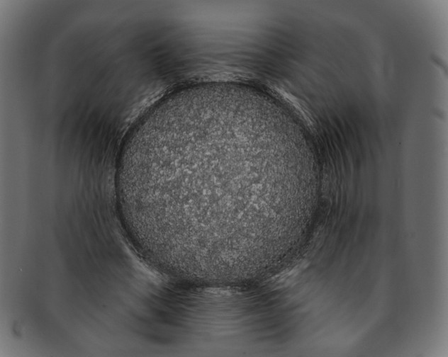 X0000091190394200709061018