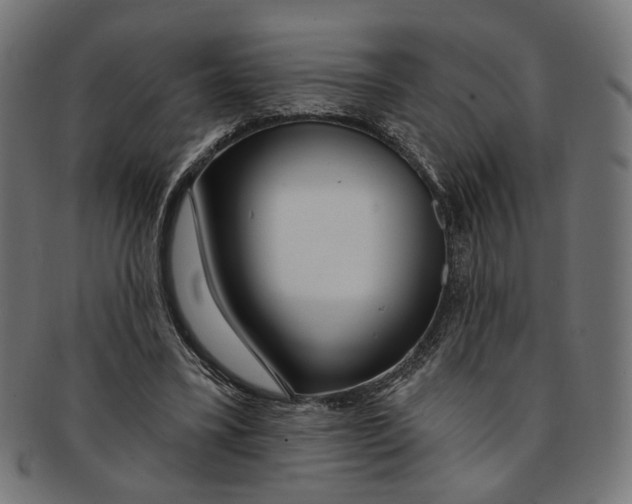 X0000091190395200709061018