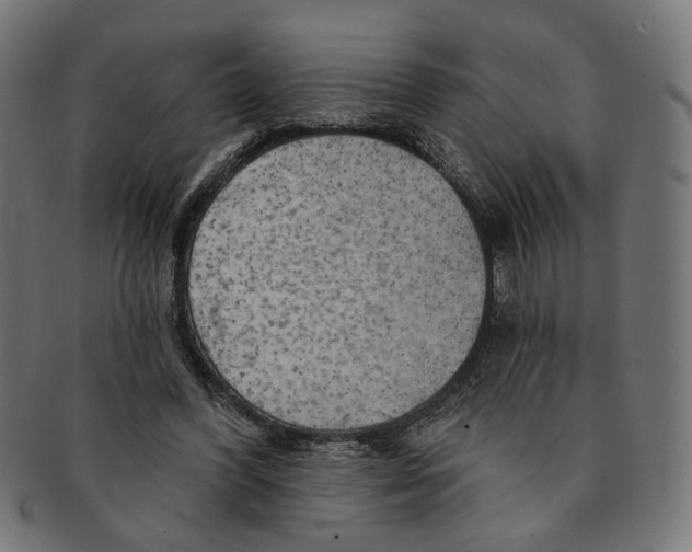 X0000091190396200709061018