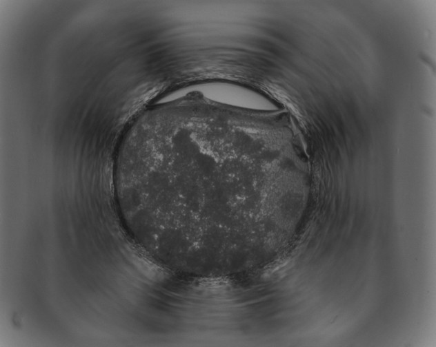 X0000091190398200709061018