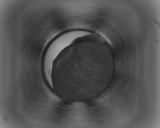 X0000091190399200709061018