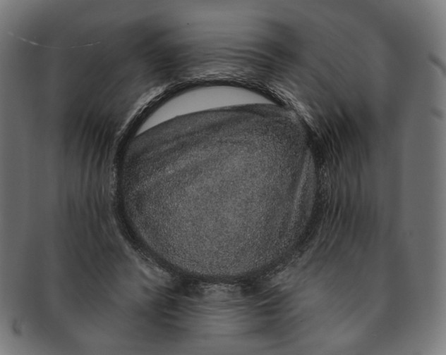 X0000091190400200709061018