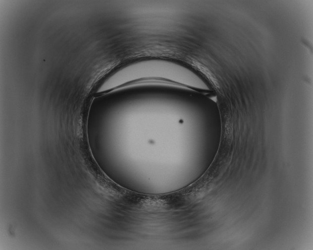 X0000091190403200709061018