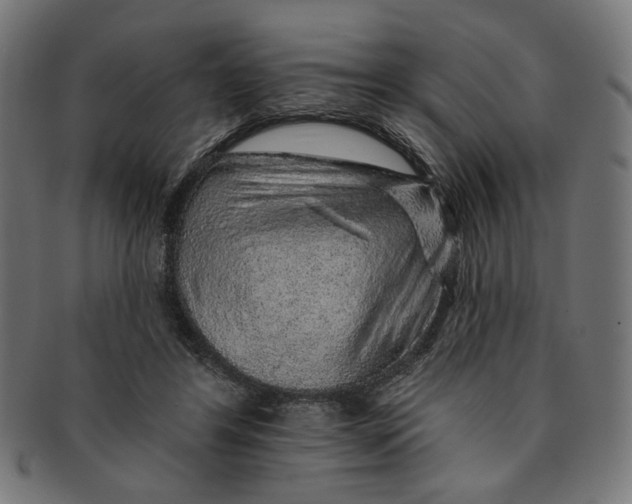 X0000091190404200709061018