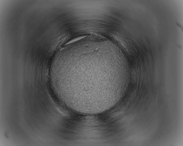 X0000091190406200709061018