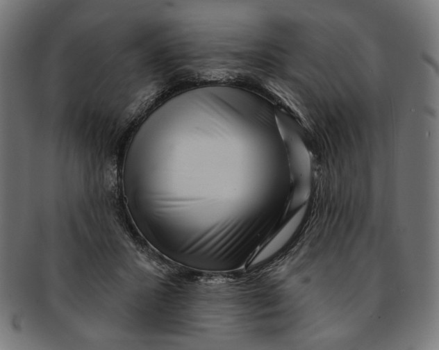 X0000091190407200709061018