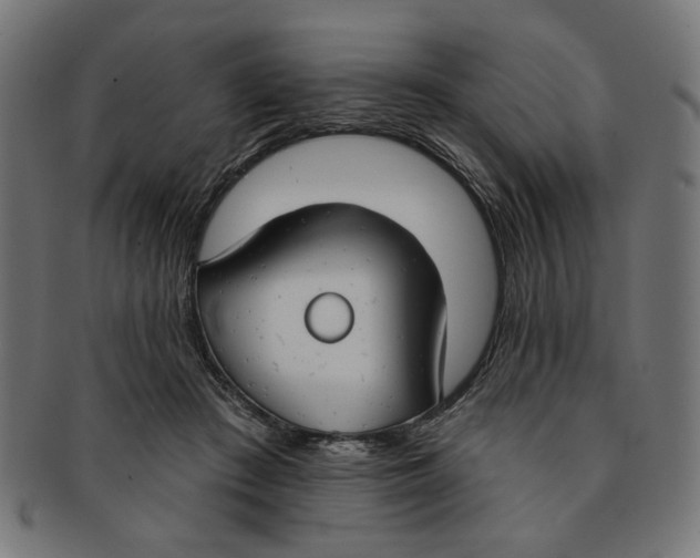 X0000091190409200709061018