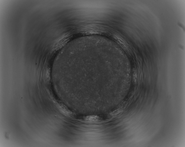 X0000091190410200709061018