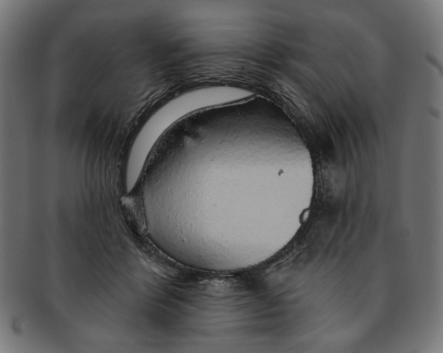 X0000091190412200709061018