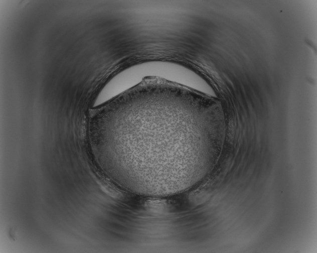 X0000091190413200709061018