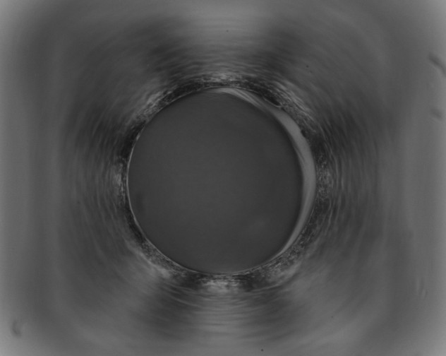 X0000091190415200709061018