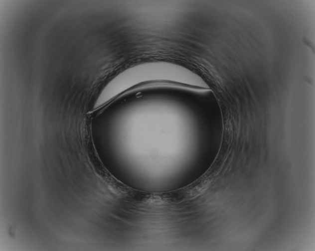 X0000091190416200709061018