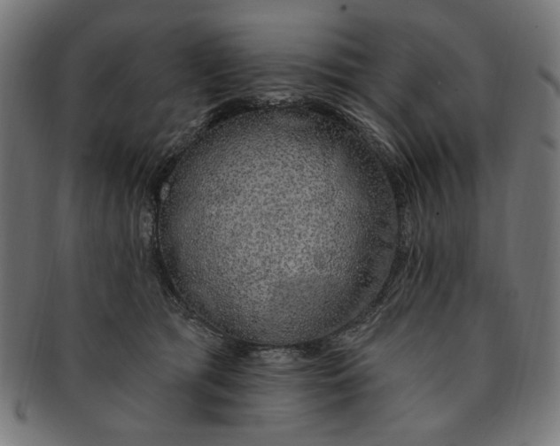 X0000091190417200709061018