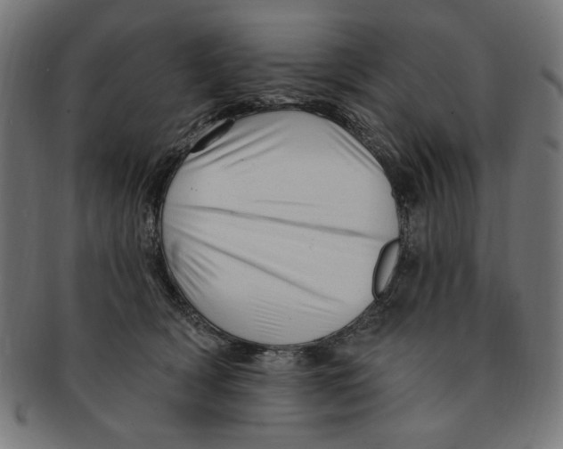 X0000091190418200709061018