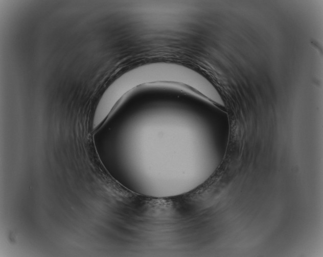 X0000091190421200709061018