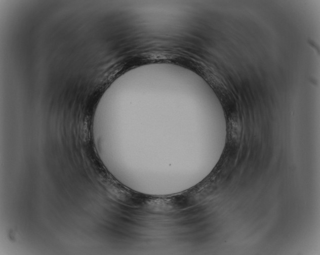 X0000091190422200709061018