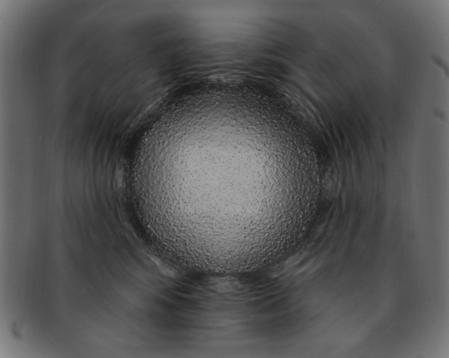 X0000091190424200709061018