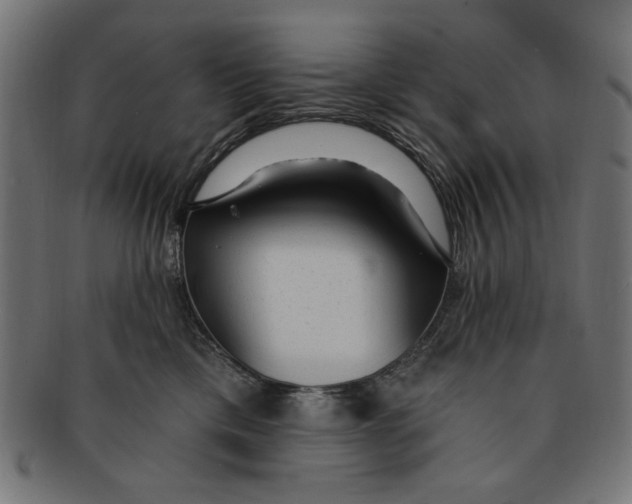 X0000091190425200709061018