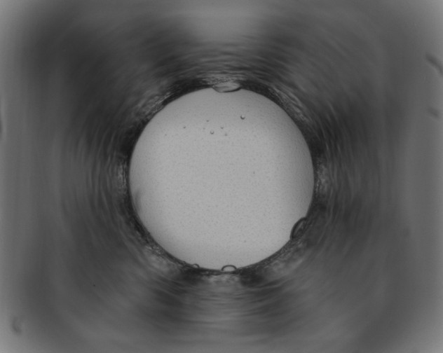 X0000091190426200709061018