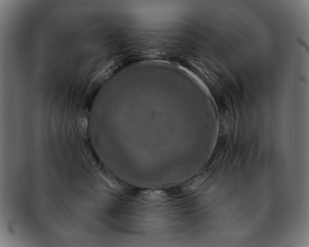 X0000091190427200709061018