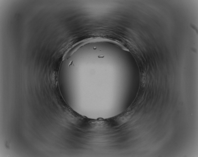 X0000091190428200709061018