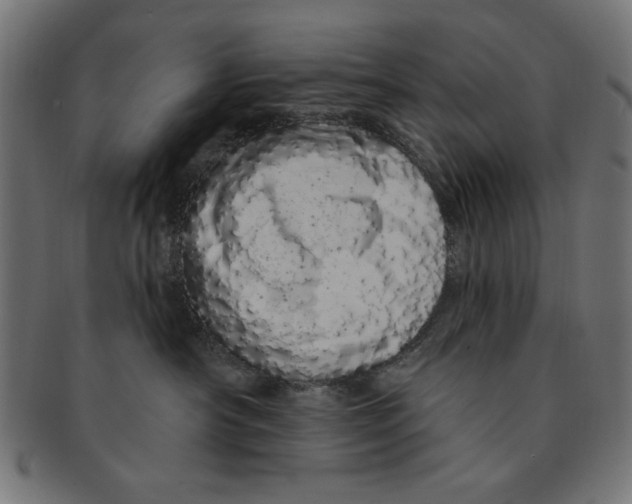 X0000091190430200709061018