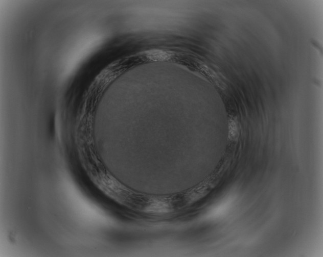 X0000091190431200709061018