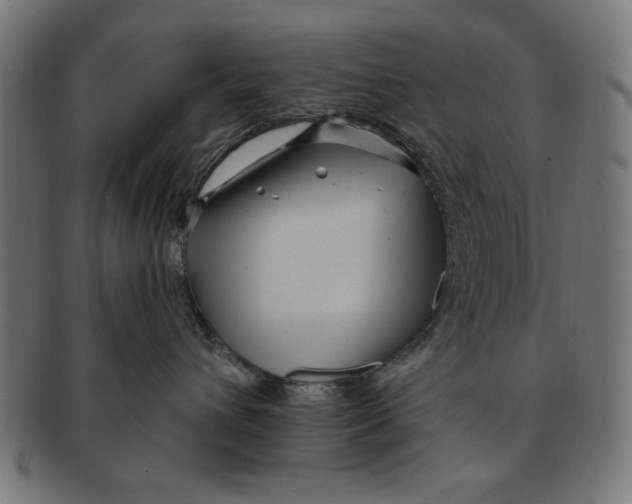 X0000091190432200709061018