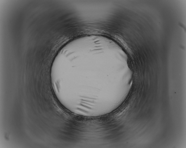 X0000091190433200709061017