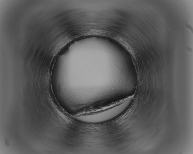 X0000091190437200709061017