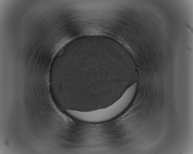 X0000091190438200709061017