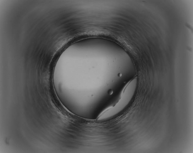 X0000091190440200709061017