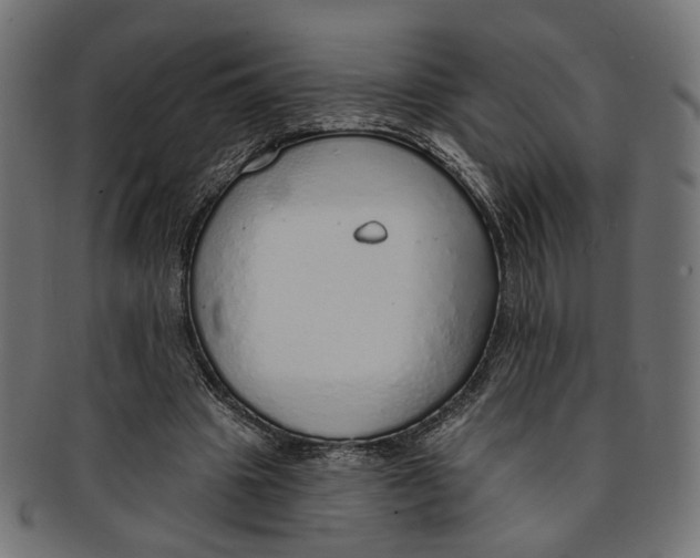 X0000091190441200709061017