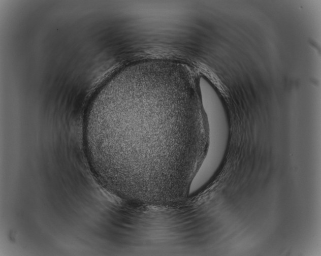 X0000091190442200709061017