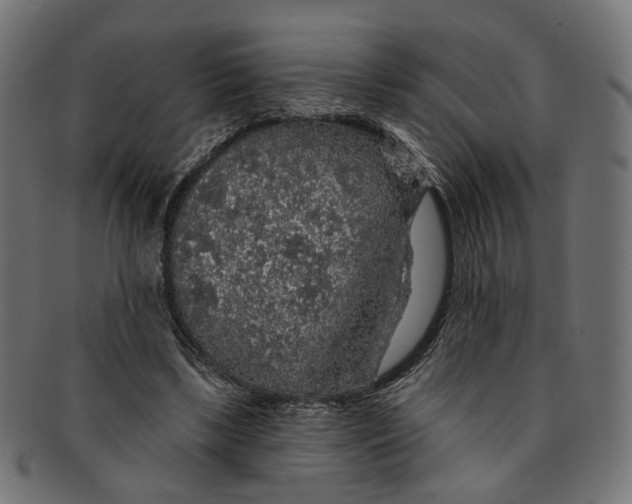 X0000091190443200709061017