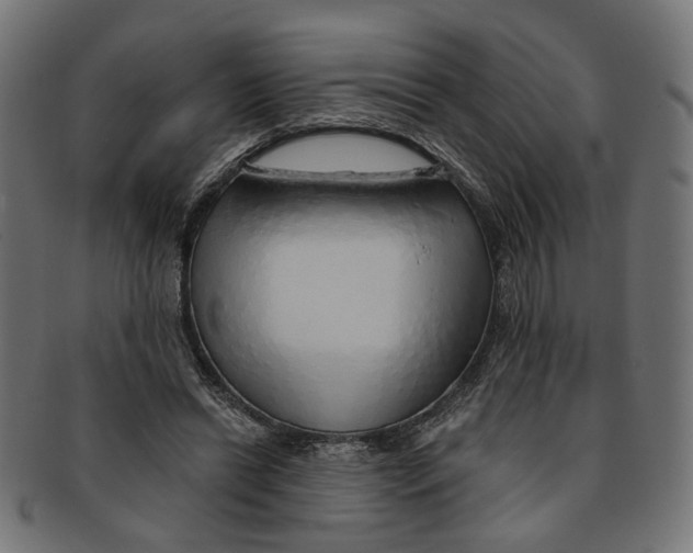 X0000091190446200709061017