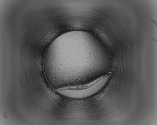 X0000091190450200709061017