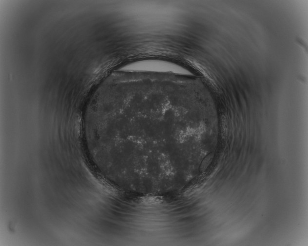 X0000091190451200709061017