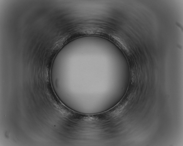 X0000091190453200709061017