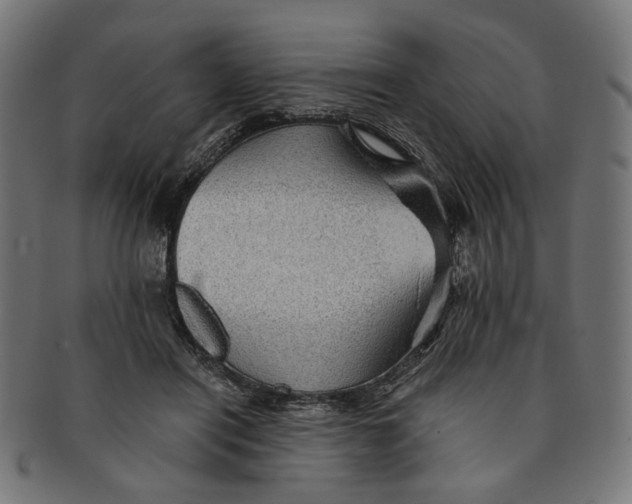 X0000091190454200709061017