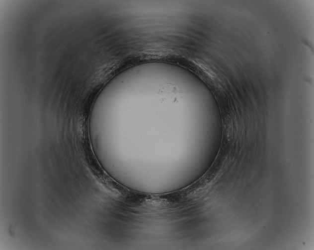 X0000091190455200709061017